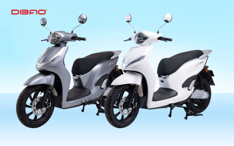 Xe máy điện Dibao LS007